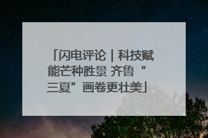 闪电评论｜科技赋能芒种胜景 齐鲁“三夏”画卷更壮美