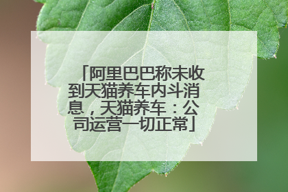 阿里巴巴称未收到天猫养车内斗消息，天猫养车：公司运营一切正常