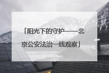 阳光下的守护——北京公安法治一线观察