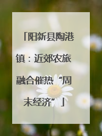 阳新县陶港镇：近郊农旅融合催热“周末经济”