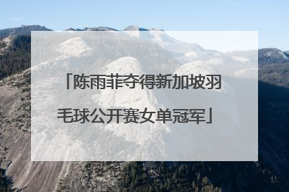 陈雨菲夺得新加坡羽毛球公开赛女单冠军