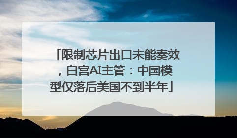 限制芯片出口未能奏效，白宫AI主管：中国模型仅落后美国不到半年