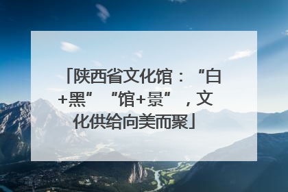 陕西省文化馆：“白+黑”“馆+景”，文化供给向美而聚