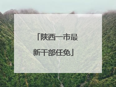 陕西一市最新干部任免