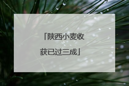 陕西小麦收获已过三成