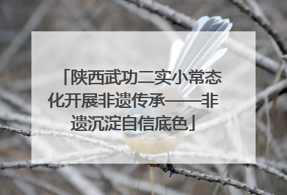 陕西武功二实小常态化开展非遗传承——非遗沉淀自信底色