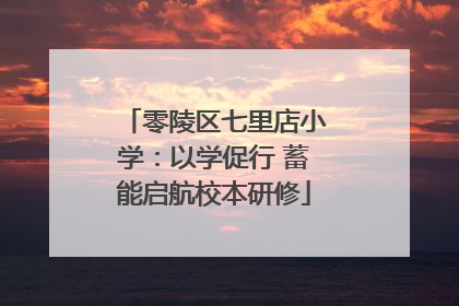 零陵区七里店小学：以学促行 蓄能启航校本研修