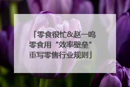 零食很忙&赵一鸣零食用“效率壁垒”重写零售行业规则