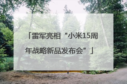 雷军亮相“小米15周年战略新品发布会”