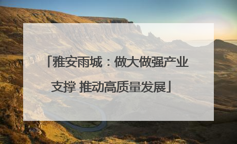雅安雨城：做大做强产业支撑 推动高质量发展