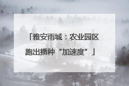 雅安雨城：农业园区跑出播种“加速度”