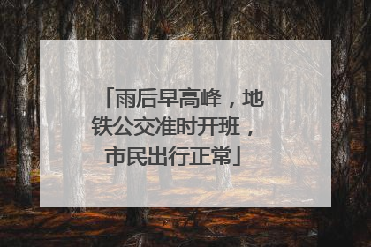 雨后早高峰，地铁公交准时开班，市民出行正常