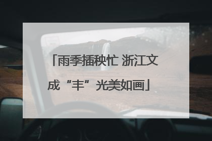 雨季插秧忙 浙江文成“丰”光美如画