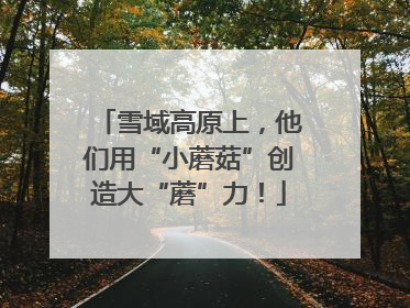 雪域高原上，他们用“小蘑菇”创造大“蘑”力！
