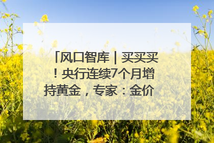 风口智库｜买买买！央行连续7个月增持黄金，专家：金价或仍易涨难跌