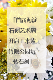 首届海淀石刻艺术周开启！来紫竹院公园玩转石刻