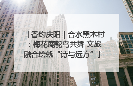 香约庆阳｜合水黑木村：梅花鹿鸵鸟共舞 文旅融合绘就“诗与远方”