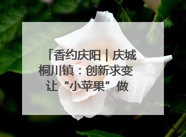 香约庆阳|庆城桐川镇:创新求变 让“小苹果”做成“大产业”