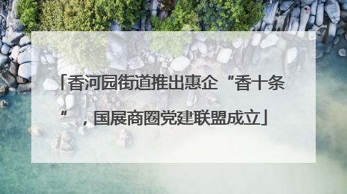香河园街道推出惠企“香十条”，国展商圈党建联盟成立