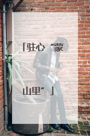 驻心“蒙山里”