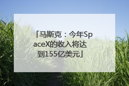 马斯克：今年SpaceX的收入将达到155亿美元