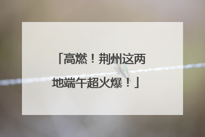 高燃！荆州这两地端午超火爆！