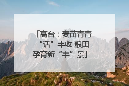 高台：麦苗青青“话”丰收 粮田孕育新“丰”景
