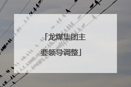龙煤集团主要领导调整