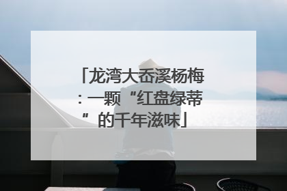 龙湾大岙溪杨梅：一颗“红盘绿蒂”的千年滋味