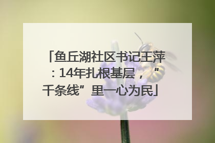 鱼丘湖社区书记王萍：14年扎根基层，“千条线”里一心为民