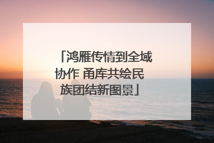 鸿雁传情到全域协作 甬库共绘民族团结新图景