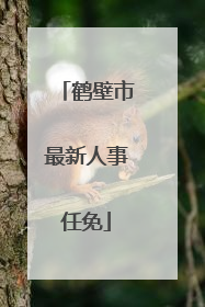 鹤壁市最新人事任免