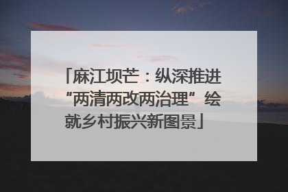 麻江坝芒：纵深推进“两清两改两治理”绘就乡村振兴新图景