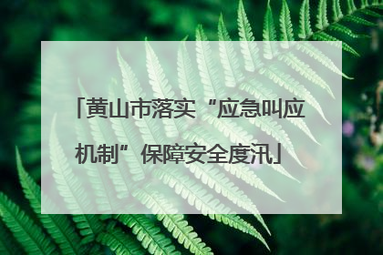 黄山市落实“应急叫应机制”保障安全度汛