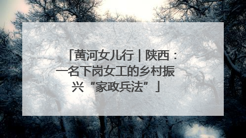 黄河女儿行｜陕西：一名下岗女工的乡村振兴“家政兵法”