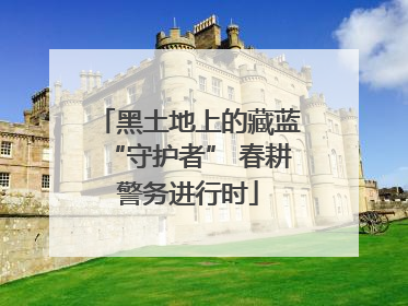 黑土地上的藏蓝“守护者” 春耕警务进行时