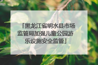黑龙江省明水县市场监管局加强儿童公园游乐设施安全监管
