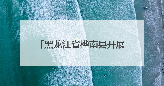 黑龙江省桦南县开展“父爱如山 真情相伴”志愿服务活动