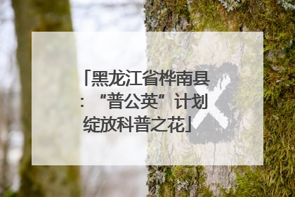黑龙江省桦南县：“普公英”计划绽放科普之花