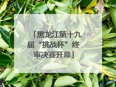黑龙江第十九届“挑战杯”终审决赛开幕