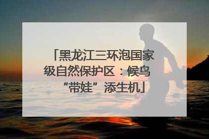 黑龙江三环泡国家级自然保护区：候鸟“带娃”添生机