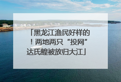 黑龙江渔民好样的！两地两只“投网”达氏鳇被放归大江