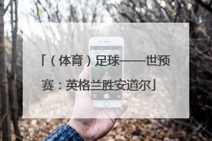 （体育）足球——世预赛：英格兰胜安道尔