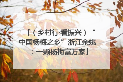 （乡村行·看振兴）“中国杨梅之乡”浙江余姚：一颗杨梅富万家