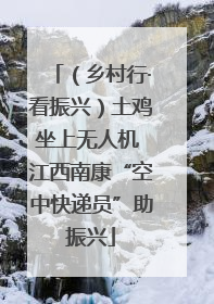 （乡村行·看振兴）土鸡坐上无人机 江西南康“空中快递员”助振兴