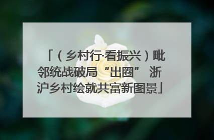 （乡村行·看振兴）毗邻统战破局“出圈” 浙沪乡村绘就共富新图景