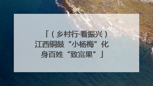 （乡村行·看振兴）江西铜鼓“小杨梅”化身百姓“致富果”