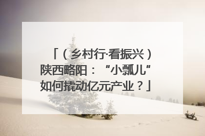 （乡村行·看振兴）陕西略阳：“小瓢儿”如何撬动亿元产业？