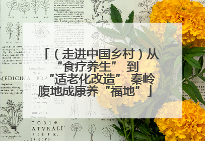 （走进中国乡村）从 “食疗养生” 到 “适老化改造” 秦岭腹地成康养“福地”
