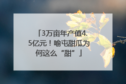 3万亩年产值4.5亿元！喻屯甜瓜为何这么“甜”